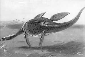 Details About Macroplata Plesiosaur Swimming Reptile Wild Animals Fauna - 