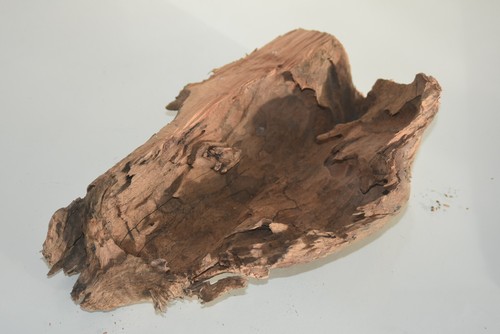 Real Structured Half Open Aquarium Bog Wood SHOBWM Suitable For Fish Aquariums - Picture 3 of 3