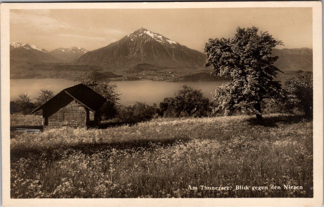 Vintage Switzerland Postcard Lake Thun & Niesen Mountain View Gaberell Publisher