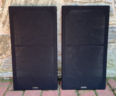 Infinity RS-5000 Speaker Grills  (pair) - Great condition