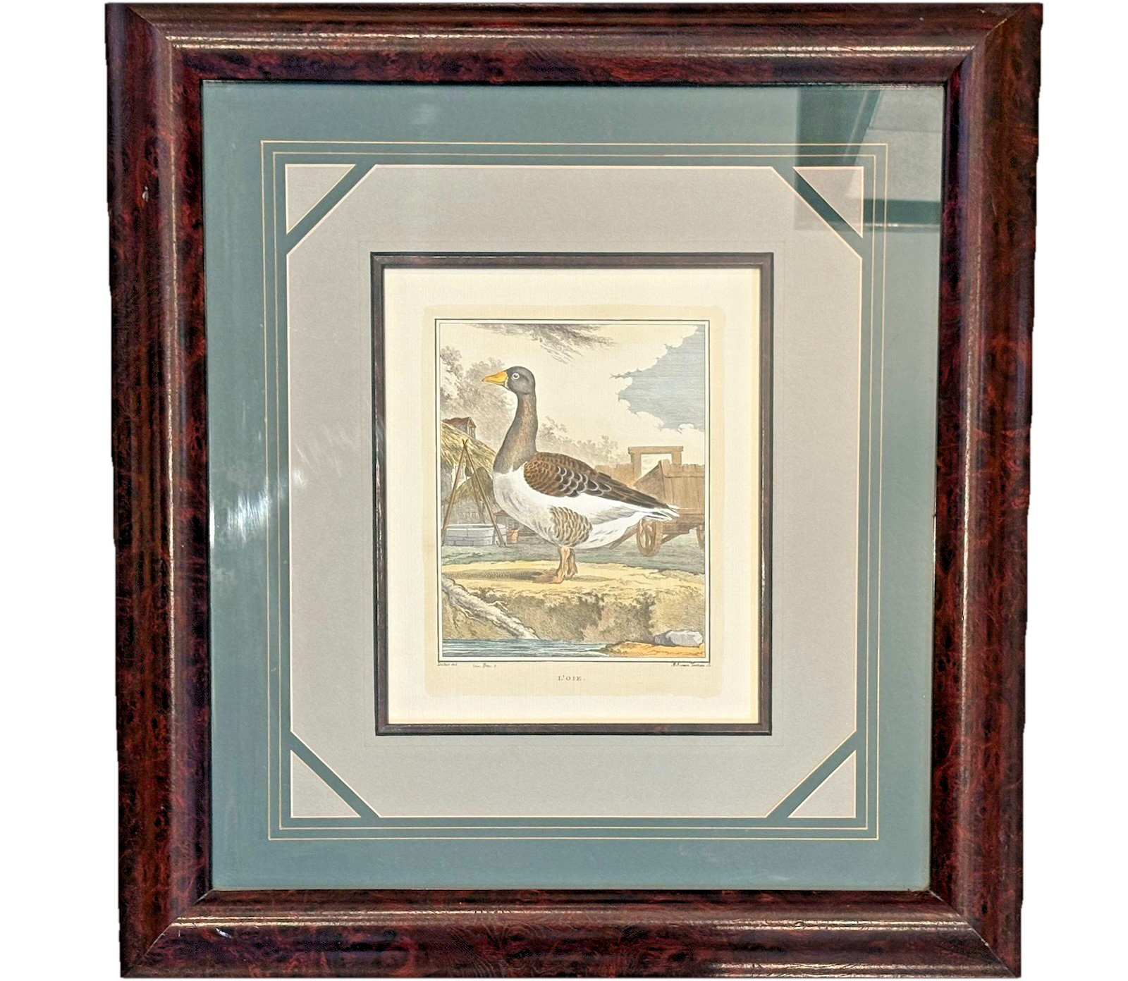 Antique French Engraving “L’Oie” Goose by De Sève & Tardieu Hand Colored 1920s