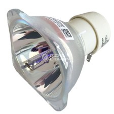 Replacement Projector Bulb for Optoma BL-FU240A HD25-LV HD25 EH300 DH1011 HD30B