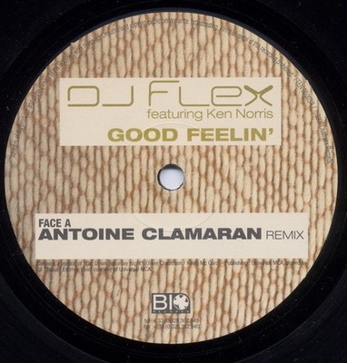 DJ Flex Ft Ken Norris - Good Feelin' (Remixes) - Dutch 12'' Vinyl - 2001 - Bio...