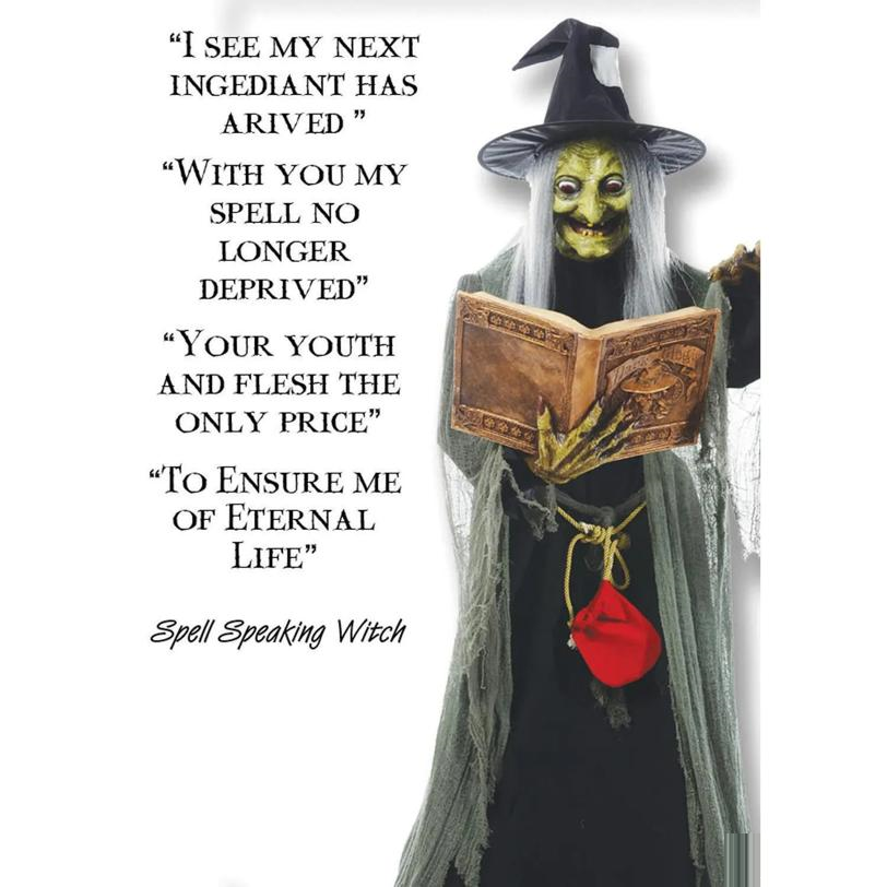 Chatot Spell 5FT Animated Spell Speaking Witch LED Light Up Sound Halloween Decor ...