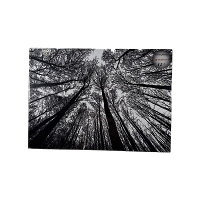 NEW SEALED Bgraamiens Puzzle-Forest in Black & White-1000 Pcs