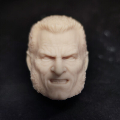 1/10 Scale Comic Twilight Wolf Head Sculpt Unpainted Fit 7'' Neca Figure A style