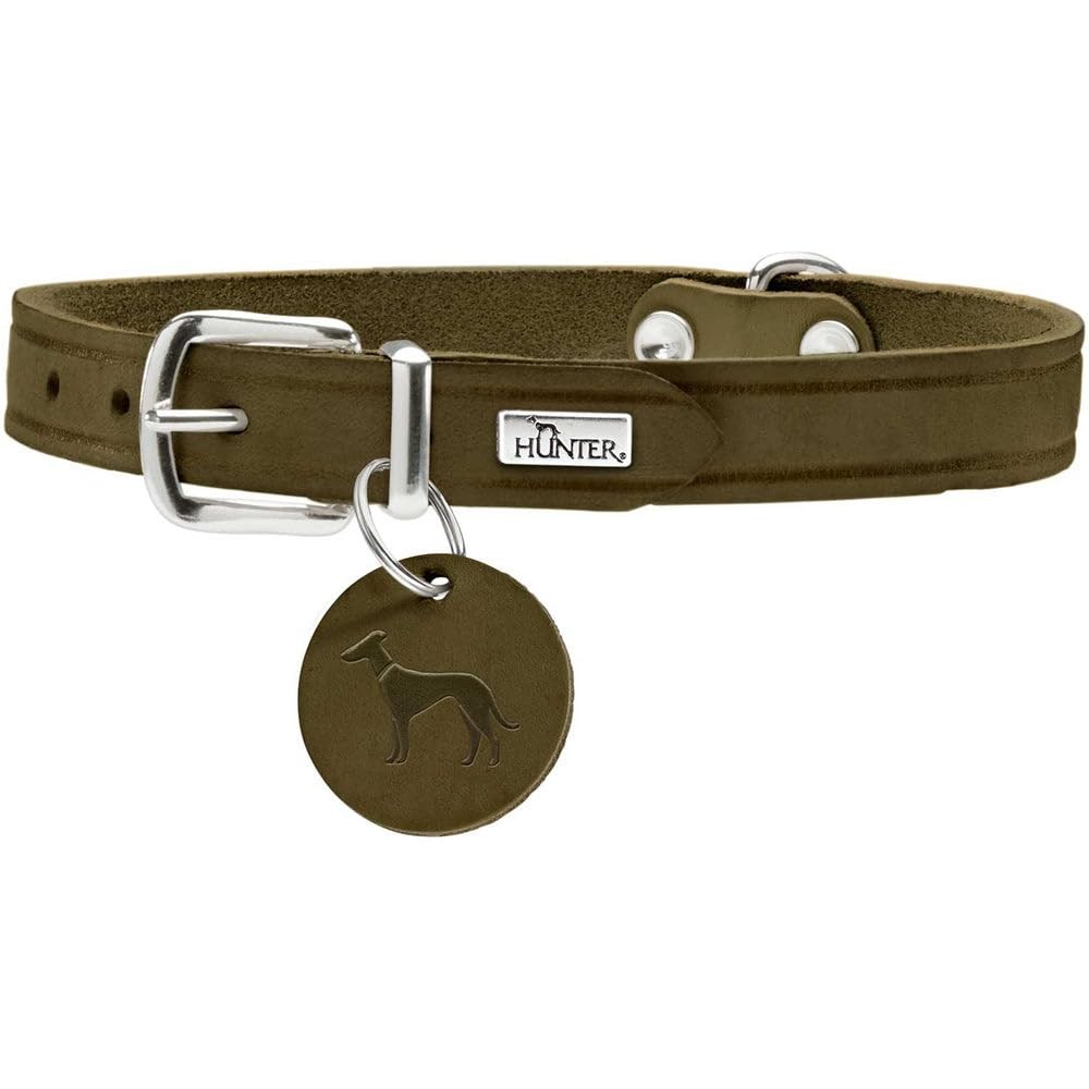 Collier pour chien Aalborg cuir vert olive pour balade en forêt et randonnée nature