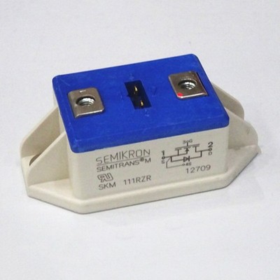 1PCS Brand New   Module SKM111RZR   *mp