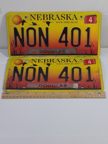 Targhe Nebraska "NON 401" Sunset Sandhill Gru Douglas Giallo Arancione - Foto 2 di 5