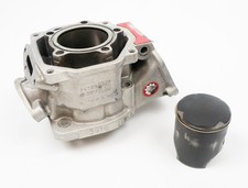 Senior Rotax Max EVO Kart Motor Zylinder / Lauf mit passendem Kolben