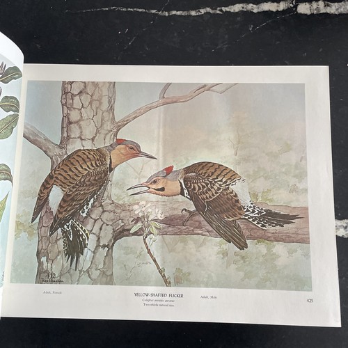 Birds and Trees of North America Rex Brasher 1968 1st Ed. 2 Volumes Color Plates - Picture 18 of 22