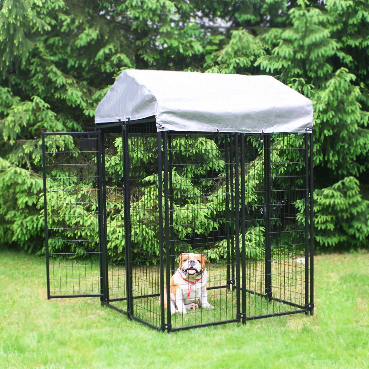 Welded wire top dog pens