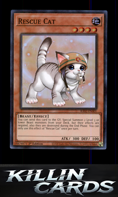 Rescue Cat (Alternate Art) (Secret Rare) RA02-EN001 Secret Rare