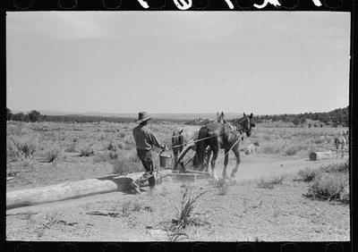 Pie Town,Catron County,New Mexico,NM,Farm Security Administration,FSA,1940,50