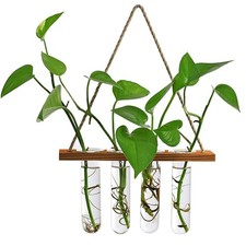 Wall Hanging Planter Terrarium with Wooden Stand, Mini Test Tube Retro Color 