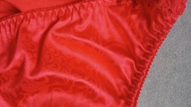 Vintage Second Skin Red Vanity Fair Med Satin Lace Panty Bikini 