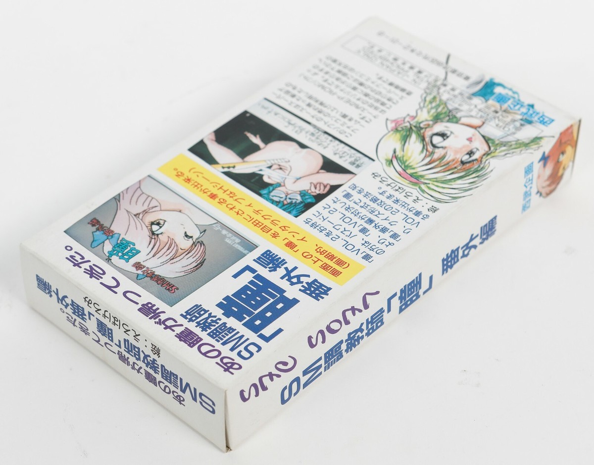 SM Choukyoushi Teacher Hitomi Remix Super Famicom JP Japan Seibu