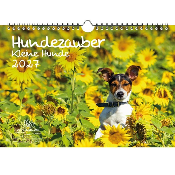 Hundezauber Kleine Hunde Din A4 Kalender FüR 2027 Welpen Und Kleine Hunde - Seel-image