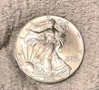 2000 American Eagle .999. Fine Silver. 1 Troy oz.