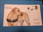 Awesome 2008 Canada Post FDC, CoA/Story on Reverse - GUIDE DOGS - With Braille