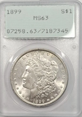 1899-P Morgan Silver Dollar PCGS MS63 OGH  RATTLER   Bright White Detailed P259