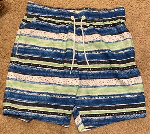 hollister mens swim trunks