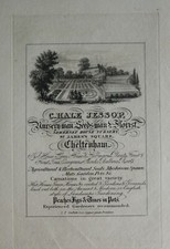 1826 ANTIQUE CHELTENHAM PRINT TRADE ADVERT HALE JESSOP NURSERYMAN FLORIST SEEDS