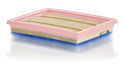 MANN-FILTER C 22 007 Air Filter for MINI