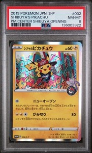 Shibuya Pikachu | eBay