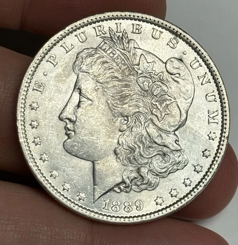 Mint State 1889-P Morgan Silver Dollar (all original) U.S. $1 Coin MS UNC