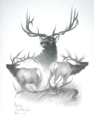 REALM OF THE ELK