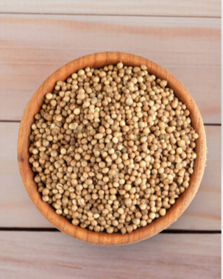 1000 g / 1 Kg (2 x 500 g) Koriander ganz Koriandersamen Coriander 1 A Qualität