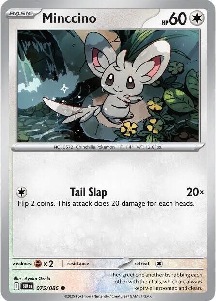 Minccino SV: Black Bolt 075/086 NM English Pokemon Card