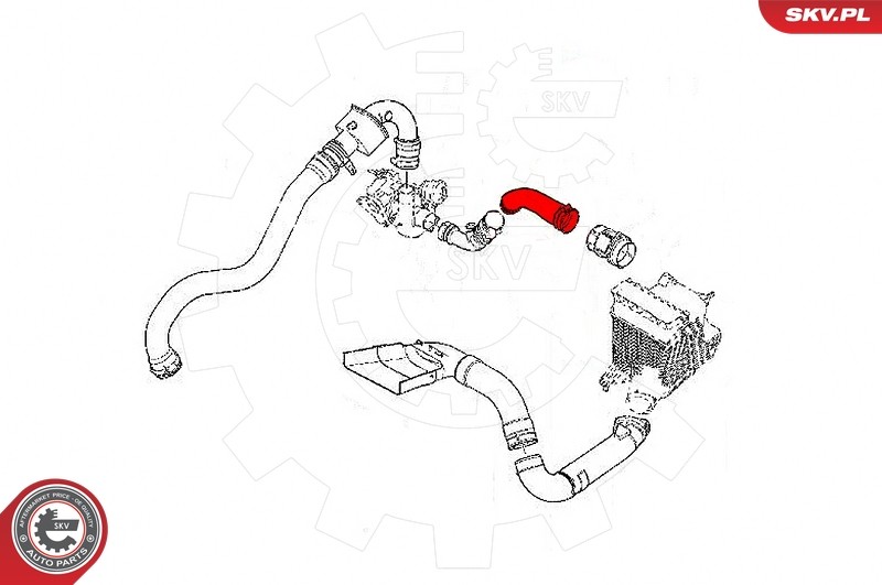 Fits SKV GERMANY 24SKV826 TURBINE HOSE 24SKV826 / # 743 RENAULT MEGANE II SCENI