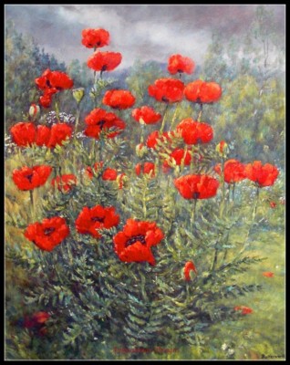 Chart Needlework Crafts DIY - Counted Cross Stitch Patterns - Glenmuick Poppies
