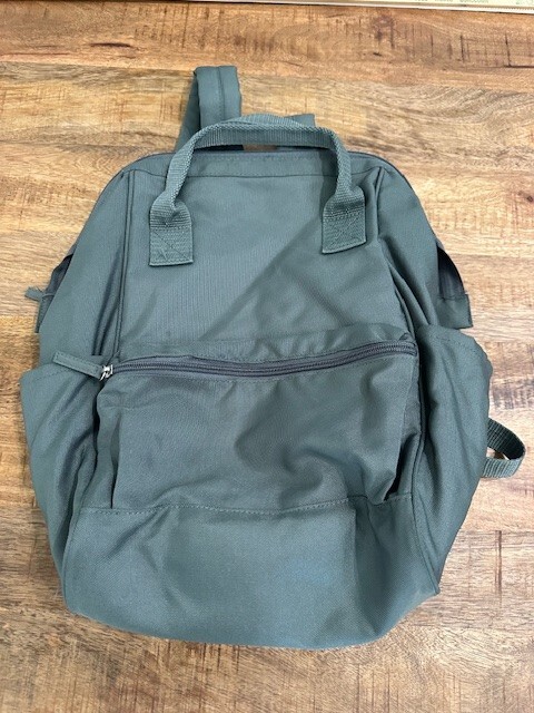DSW Camuto Steel Blue Green Canvas Backpack Padded  display picture 2