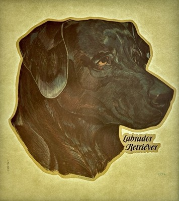 Original Vintage Labrador Retriever Black Dog Iron On Transfer