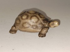 Schleich Turtle Tortoise Vintage 1991 Animal Figure Retired