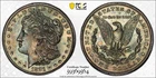 1881 S Morgan Silver Dollar PCGS MS-64 True View Toned Toner Double Blueberry