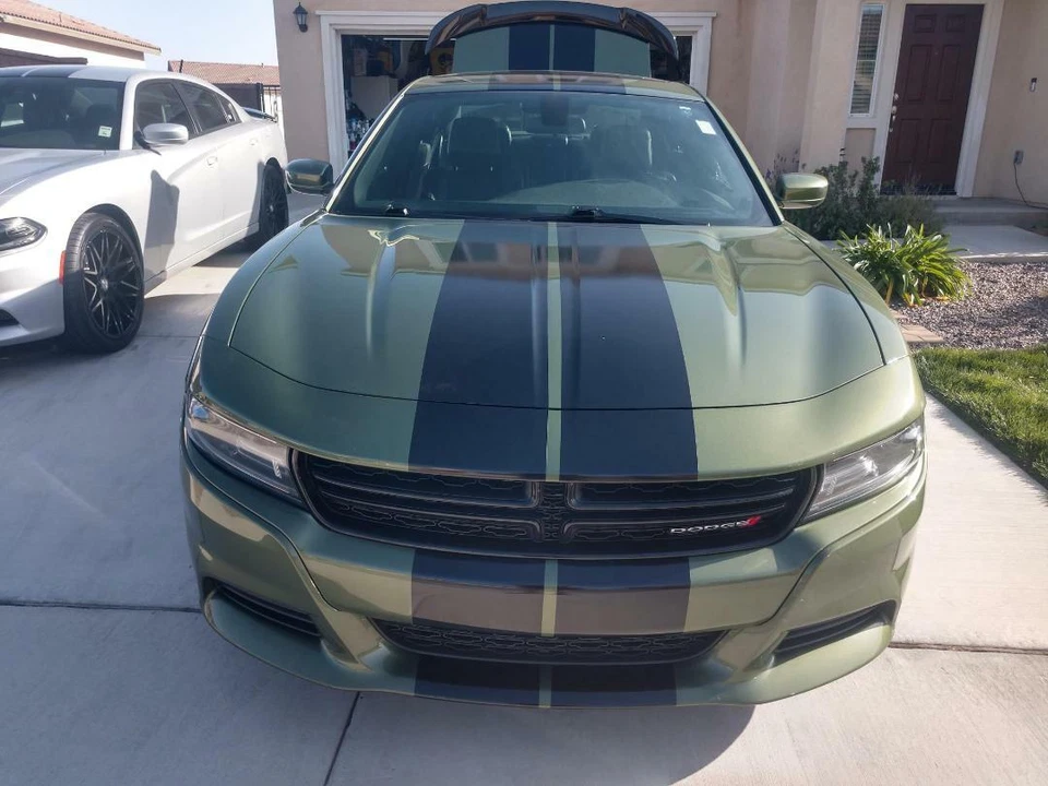 10" 3M listras de corrida vinil envoltório gráfico de corrida adesivo listra 36 pés - Imagem 4 de 4