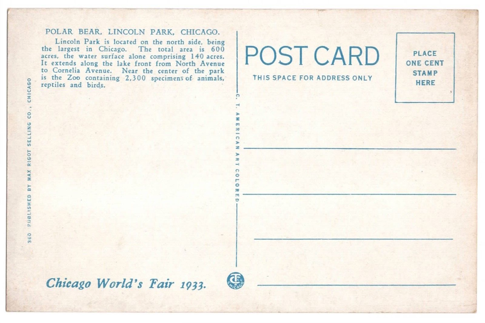 Polar Bears Lincoln Park, Chicago, IL Linen Postcard 40s VTG World's