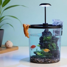 Compact Desktop Fish Tank Kit 1.5Gal Include Filter  LED Light for Office Decor