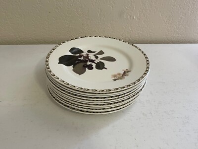 Queen's Bone China Porcelain Hooker's Fruit pattern Set of 11 Salad Plates