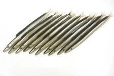 Almost Alive Lures Sand Launce Eel Lure 9" Eel Color Package of 10