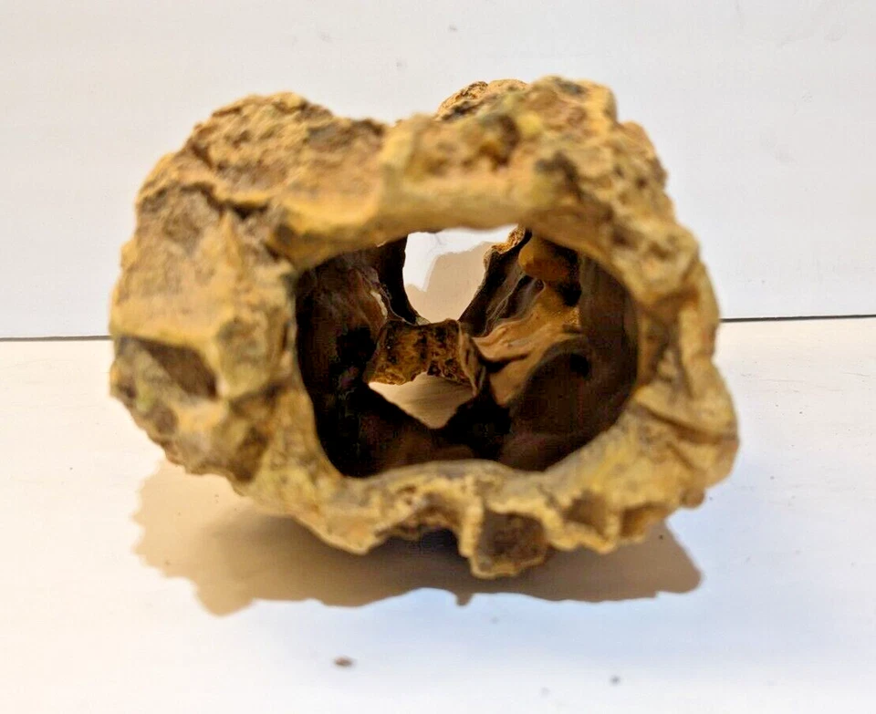 Synthetic Resin Tan-Colored Driftwood Decoration - Realistic Look - 13" x 5" x 5 - Image 4 of 4