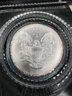 2001 American Silver Eagle Sealed Littleton Coin Company Holder Gorgeous Toning