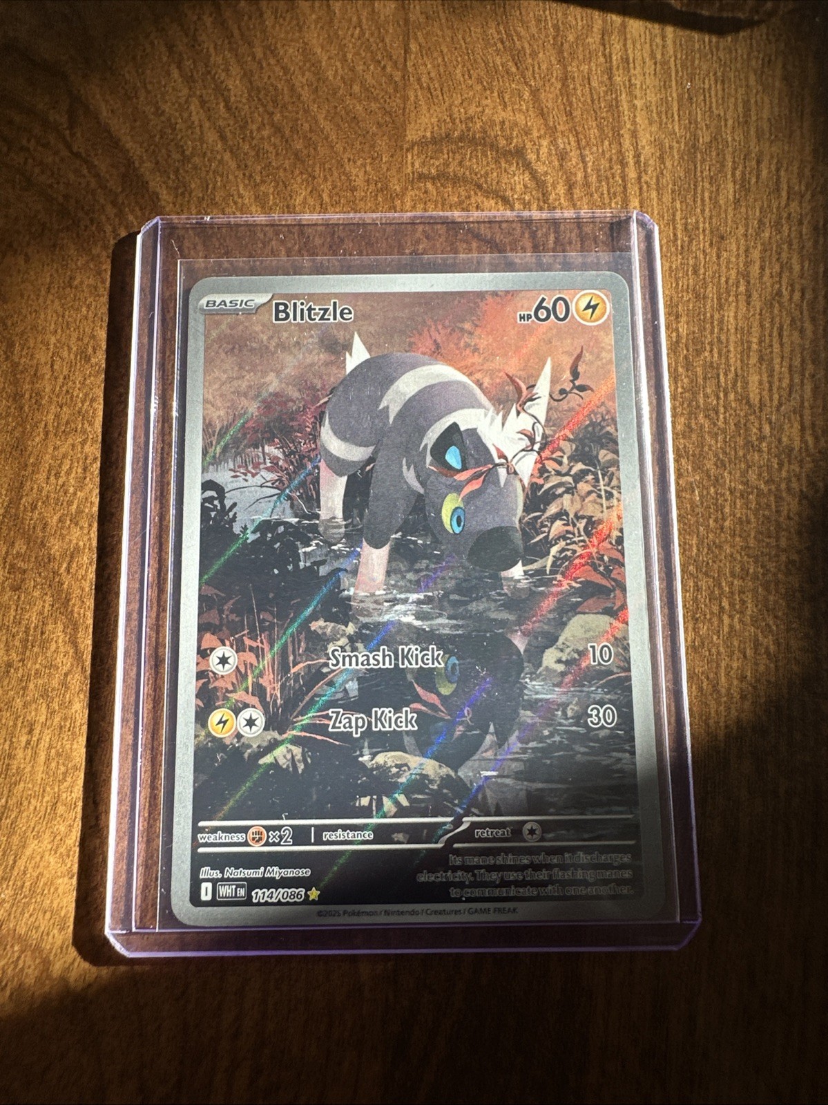 Pokemon TCG Blitzle Holo White Flare English #114/086 Mint Condition