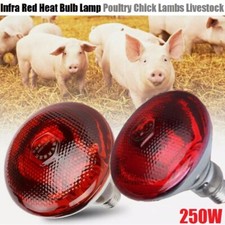 2Stk Rotlichtlampe Infrarotlampe Wärmelampe Tiere Infrarotbirne Heizlampe 250W