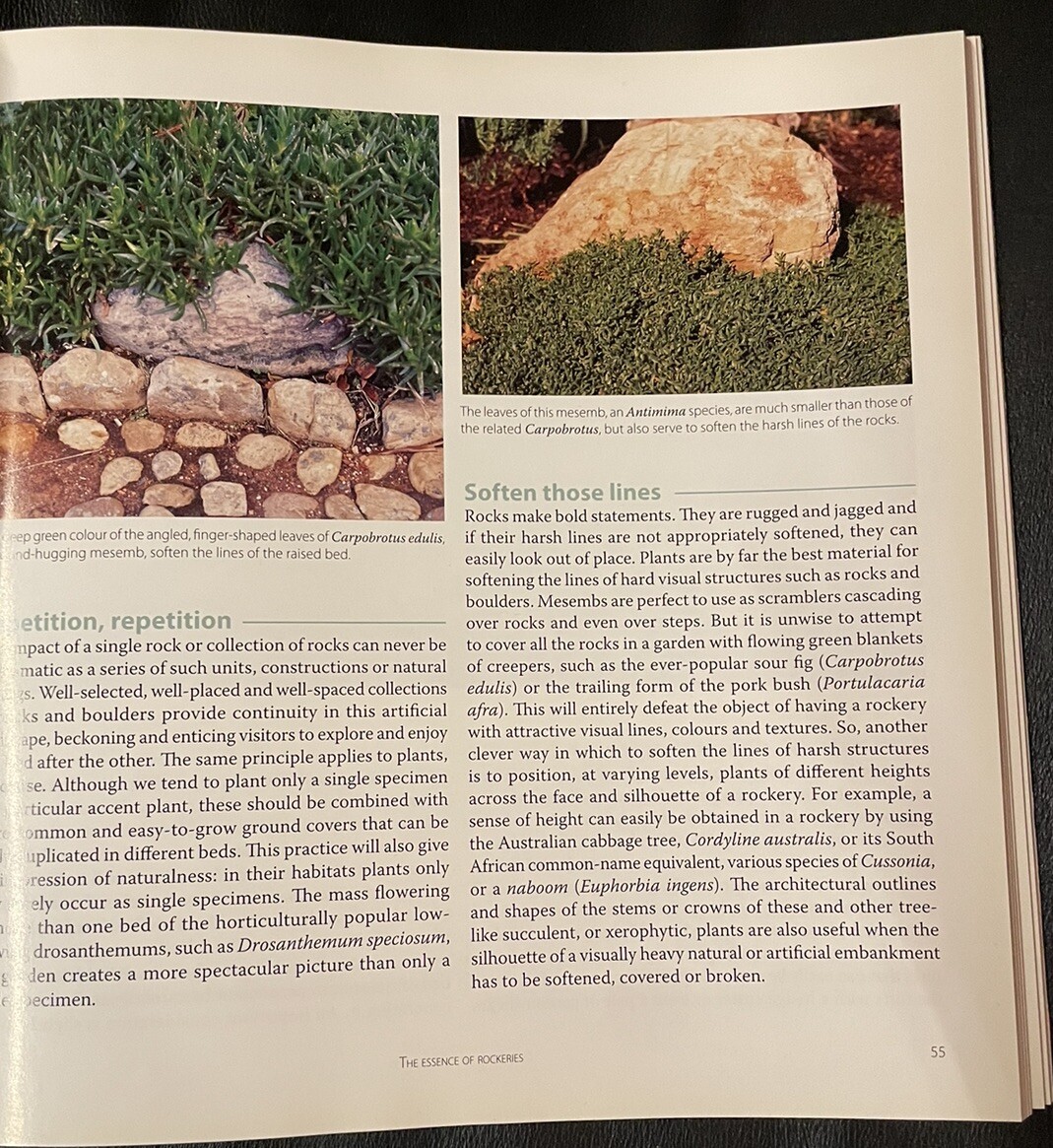 Gardening with Succulents Softcover Book by Gideon Smith Plants