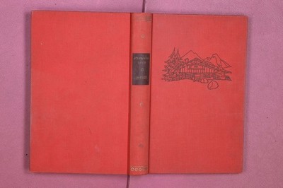 349540 Johanna Spyri HEIDI C. Bertelsmann Verlag Eine Geschichte für Kinder und